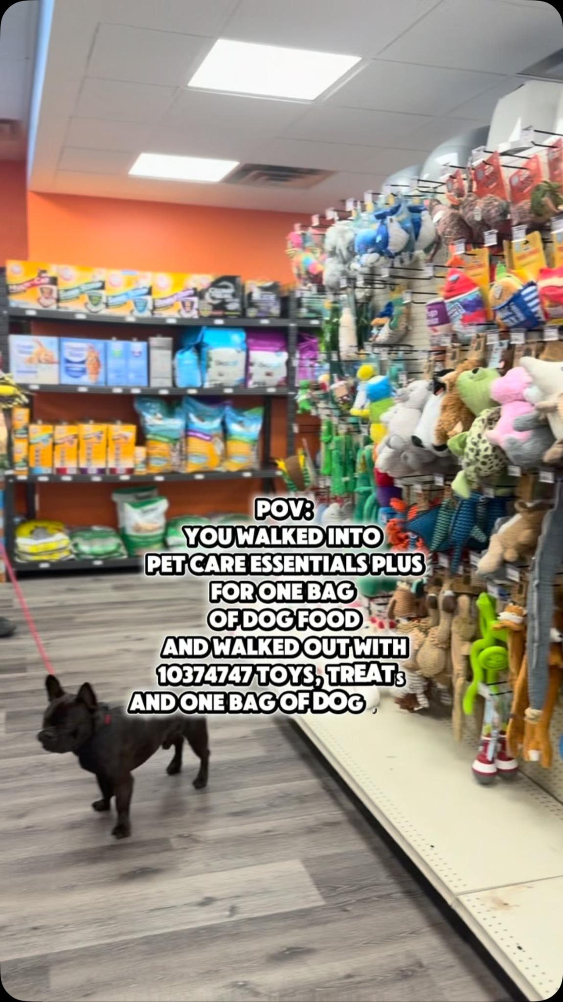 Inside Pet Care Essentials Plus with shelves of pet toys and supplies